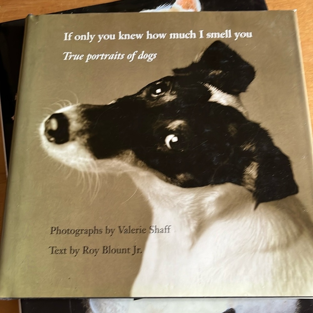 True portraits of dogs book